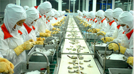 Lao động - Việc làm